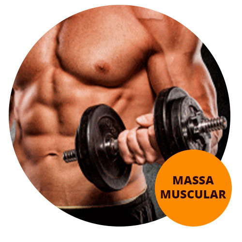 Ganho de massa muscular